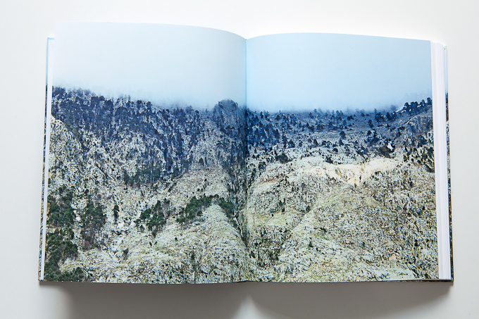 Book - SWORN VIRGINS