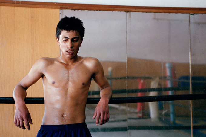 Boxer. Sofia, Bulgarien 2004