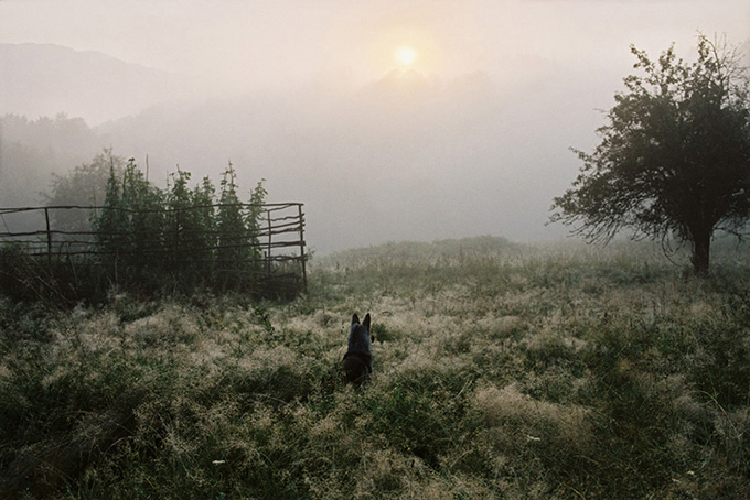 Vihar. Aprilzi, Bulgarien 2005