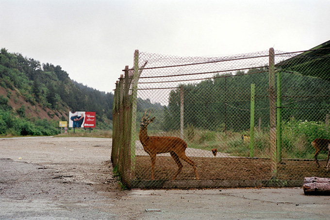 Strassenzoo. Sevlievo, Bulgarien 2005